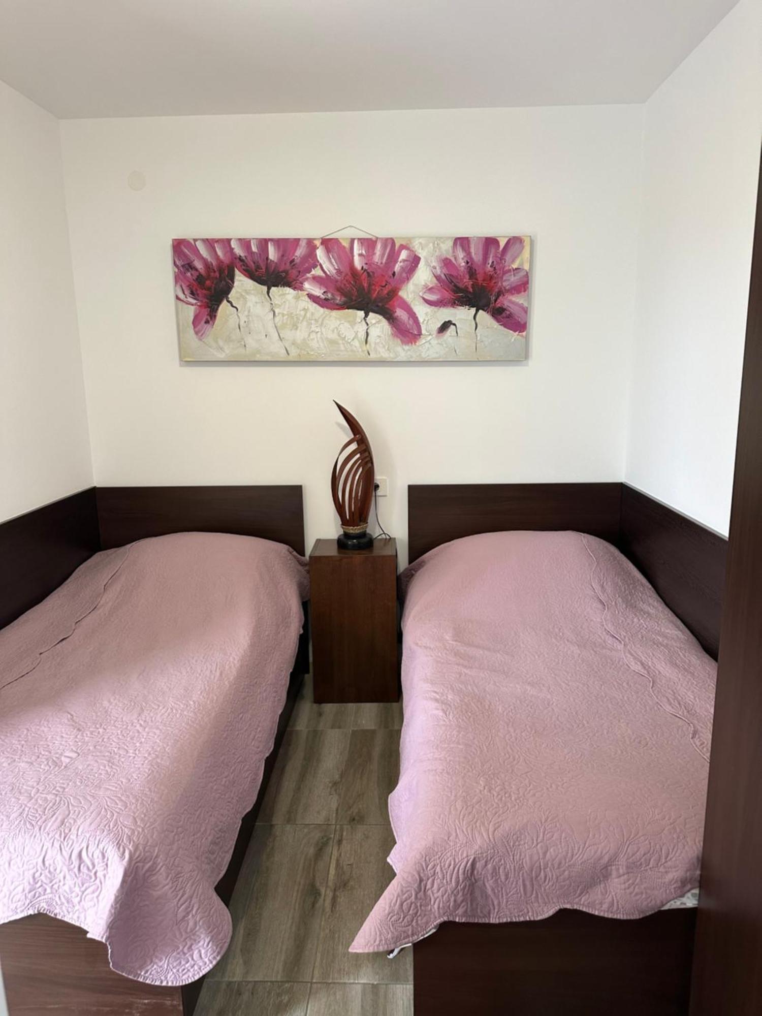 Double Room Apartment Tomas دوبروفينك المظهر الخارجي الصورة